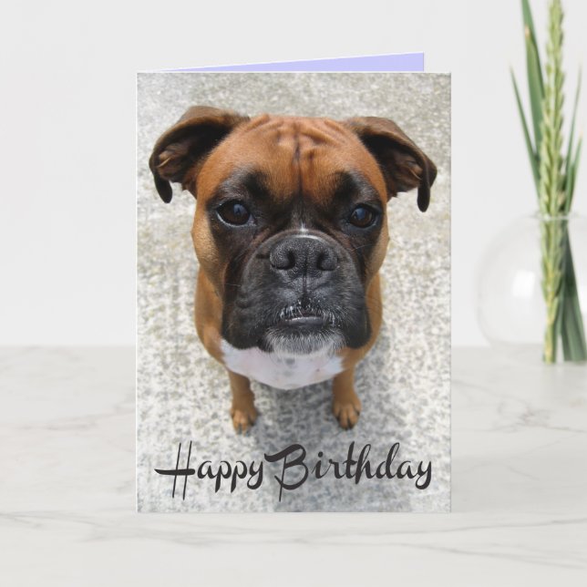 Boxer Puppy Dog Happy Birthday Card - Verse Karte (Vorderseite)