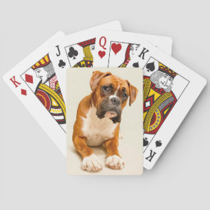 Boxer puppy on ivory cream backdrop. spielkarten