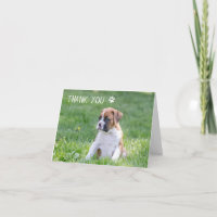 Boxer Pupy Dog Danke Karten - Boxer Dog
