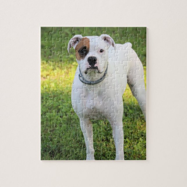 Boxer Puzzle (Vertikal)