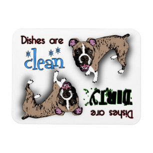 Boxer-Rechteck-Spülmaschinen-Magnet Magnet