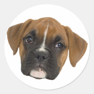 Boxer Runder Aufkleber