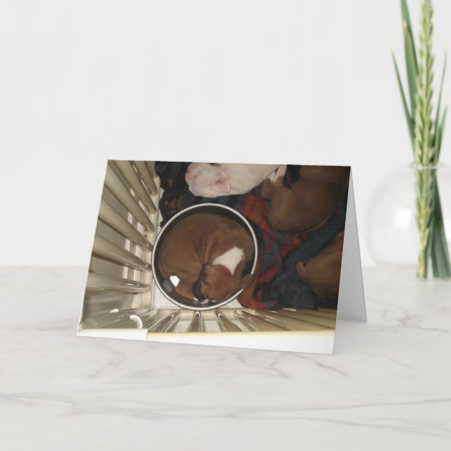 Boxer Schlafen in der Lebensmittelschale Geburtsta Karte (Vorderseite)