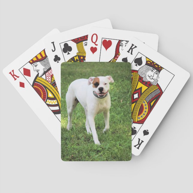 Boxer Spielkarten (Rückseite)