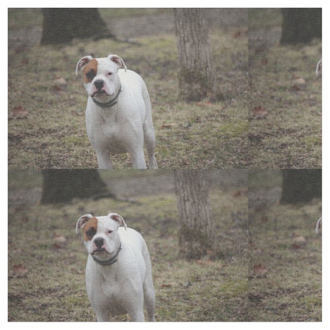 Boxer Stoff (Nahaufnahme)