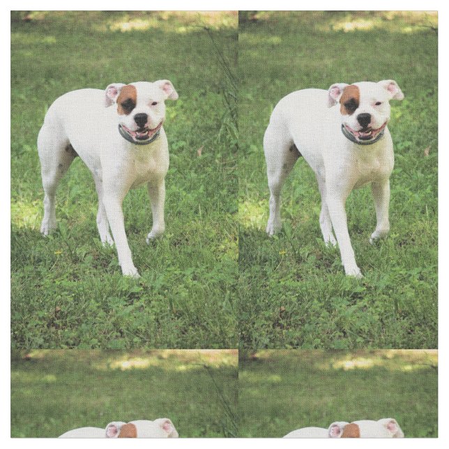 Boxer Stoff (Nahaufnahme)