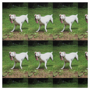Boxer Stoff
