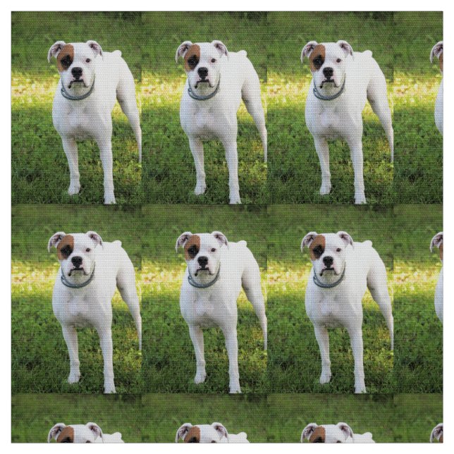 Boxer Stoff (Muster)