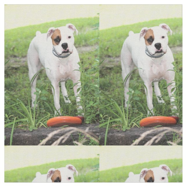 Boxer Stoff (Nahaufnahme)