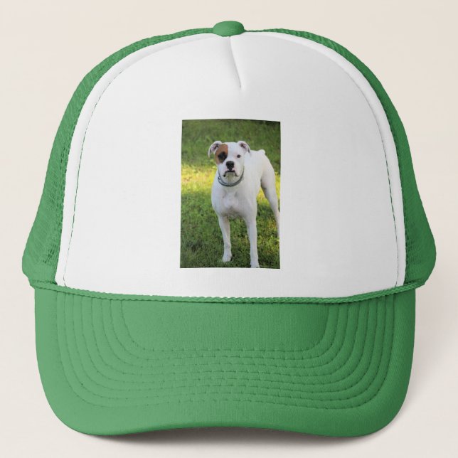 Boxer T - Shirt Truckerkappe (Vorderseite)