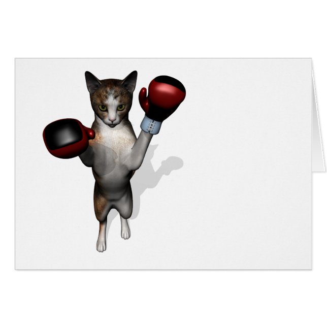 Boxer Tabby (Vorderseite (Horizontal))