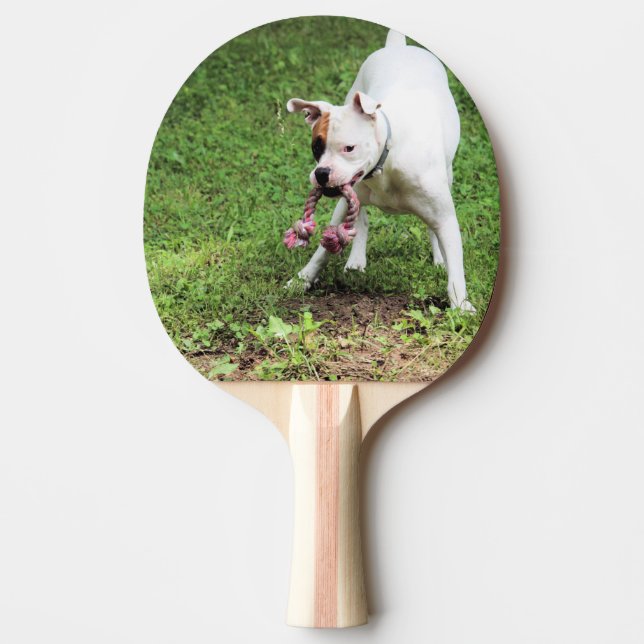 Boxer Tischtennis Schläger (Vorderseite)