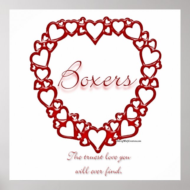 Boxer True Love Poster (Vorne)