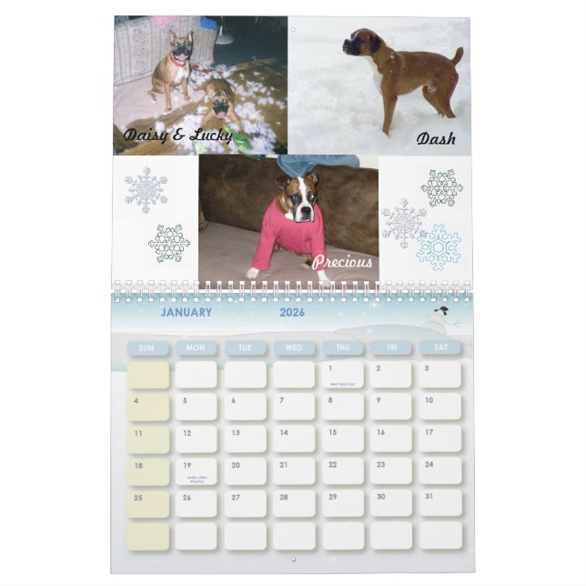 Boxer-verrückter Kalender 2011 (Jan 2026)