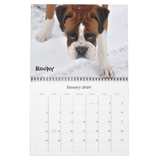 Boxer-verrückter Kalender 2012 (Jan 2026)