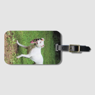 Boxer Visitenkartengehäuse Gepäckanhänger