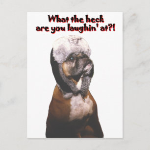Boxer: Was zum Heck! Postkarte