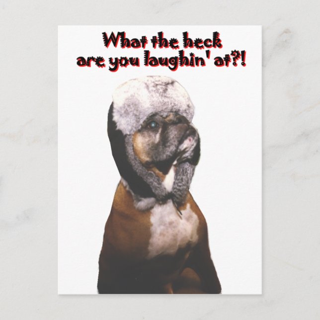 Boxer: Was zum Heck! Postkarte (Vorderseite)