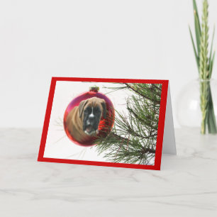 Boxer Weihnachtskartenball Feiertagskarte