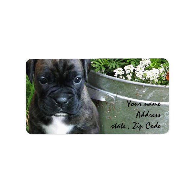 Boxer Welpe Adressaufkleber (Vorne)