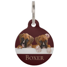 Boxer-Welpe