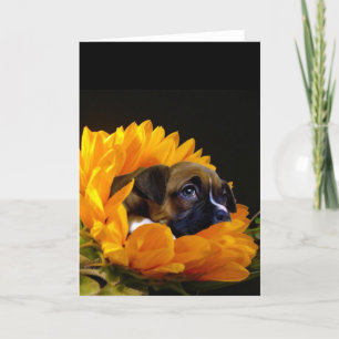 Boxer Welpe in Sunflower Grußkarte Karte