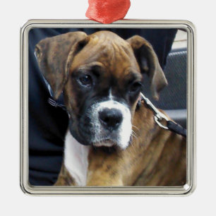 BOXER-WELPE-Ornament Ornament Aus Metall