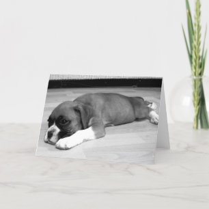 Boxer Welpe "Sasha" entspannende Grußkarte Karte