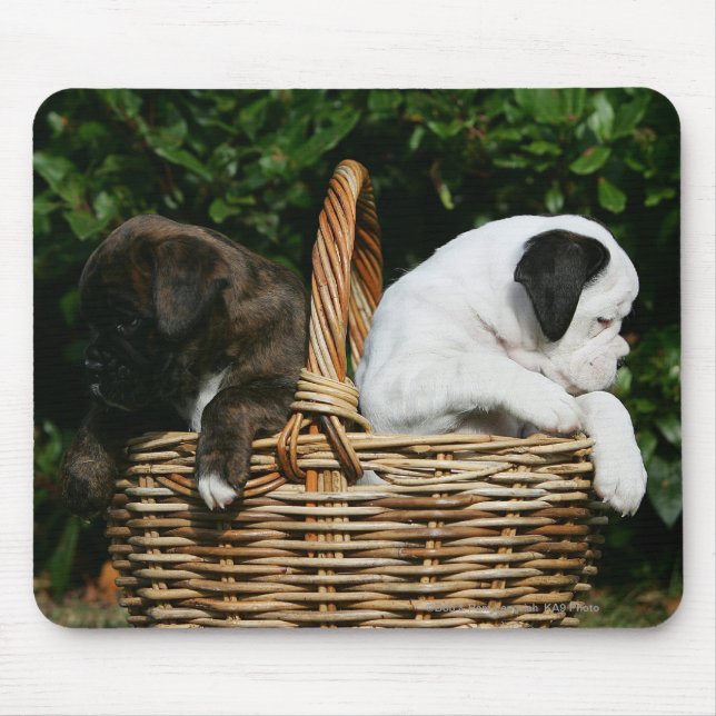 Boxer-Welpen im Korb Mousepad (Vorne)