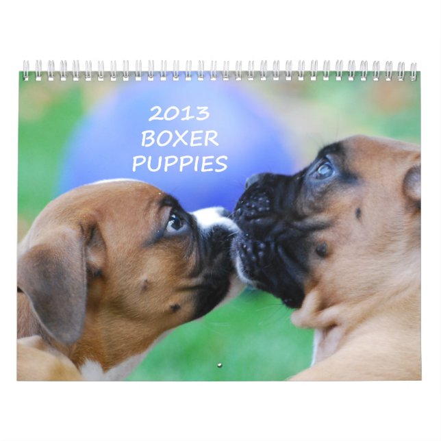 Boxer-Welpen-Kalender 2013 Kalender (Titelbild)