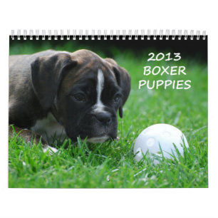 Boxer-Welpen-Kalender 2013 Kalender