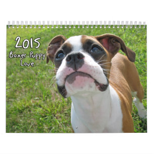 Boxer-Welpen-Liebe-Kalender 2015 Kalender
