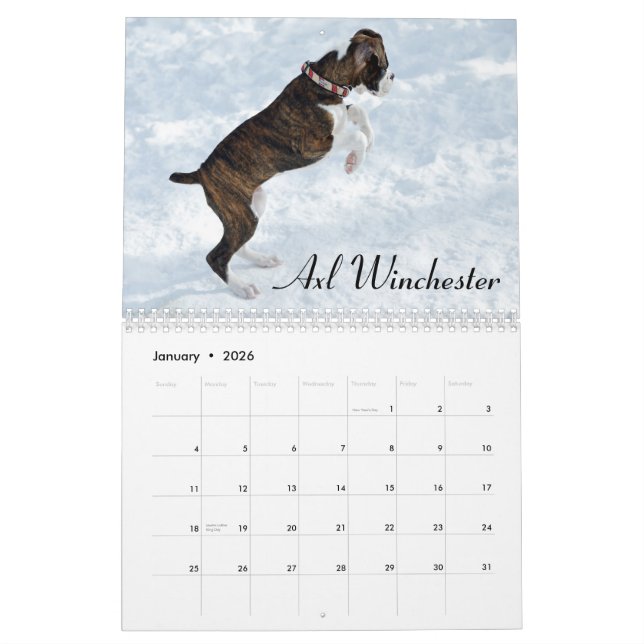 Boxer-Welpen-Liebe-Kalender 2015 Kalender (Jan 2026)