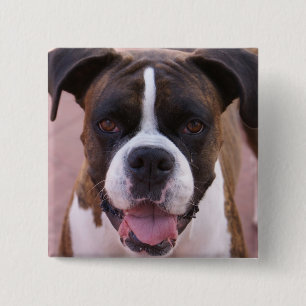 Boxer-Welpen-Quadrat-Button Button