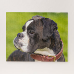 Boxer-Welpenhund Puzzle