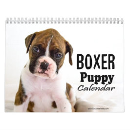 Boxer Welpenkalender Kalender