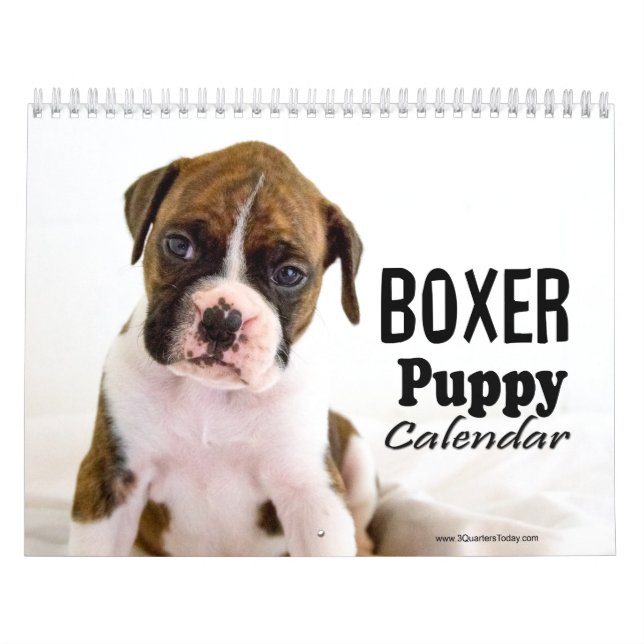 Boxer Welpenkalender Kalender (Titelbild)