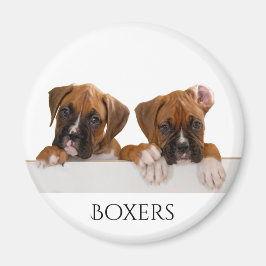 Boxer Welppies Magnet