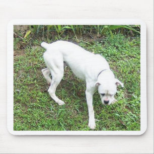 Boxer White Puppy full Mousepad