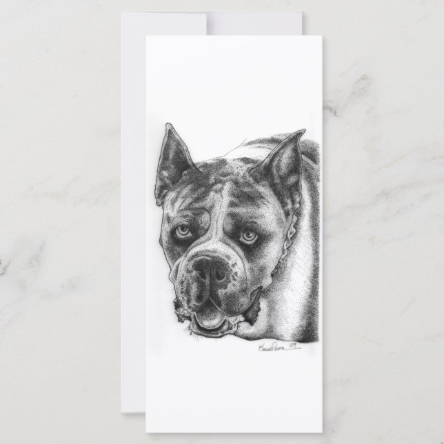 Boxer Zeichnend (Vorderseite)