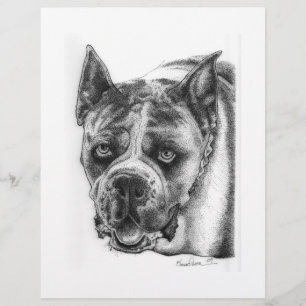 Boxer Zeichnend Flyer