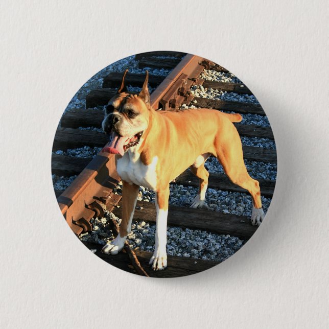 Boxerhund auf Bahnstrecke-Knopf Button (Vorderseite)
