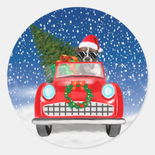Boxerhund fährt Auto im Schnee Weihnachten Runder Aufkleber