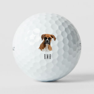 Boxerhund Golfball