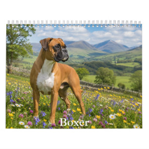 Boxerhund-Kalender Kalender