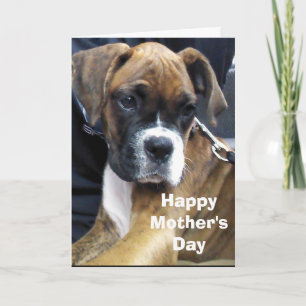 BOXERHUND  KARTE