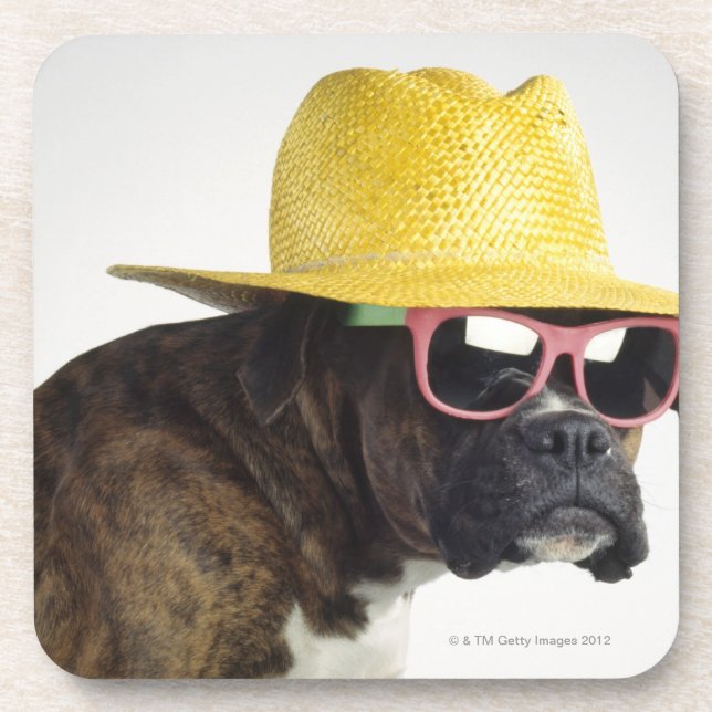 Boxerhund mit Hut und Gläsern Untersetzer (Vorderseite)
