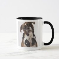 Boxerhund mit Kopfhörern