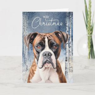 Boxerhund Winter Aspen Wald Weihnachten