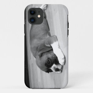 BoxerhundiPhone 5 kaum dort universeller Fall Case-Mate iPhone Hülle